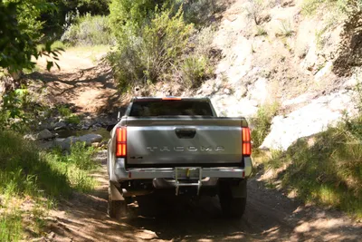 DSC_5912 (Large).JPG